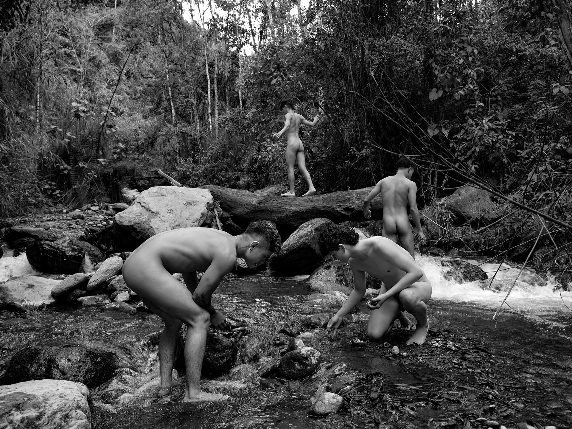 32-05-407-Juan David, Juan Carlos, Stiven and Samuel-Valle de Cocora-DSCF3731-1920-72-8