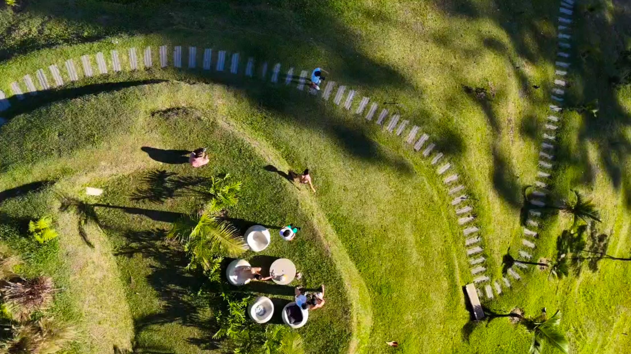 A Film? How the Idea Began